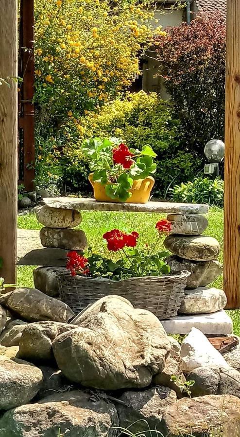 Casa Din Coltul Cetatii Villa Harman Bagian luar foto