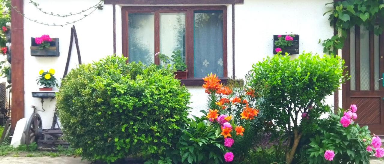 Casa Din Coltul Cetatii Villa Harman Bagian luar foto